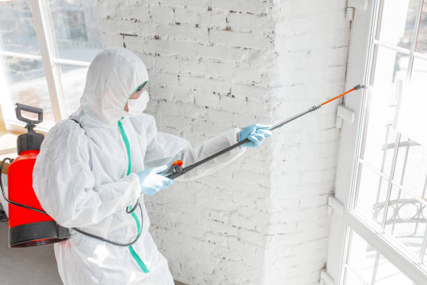 Best Mold Prevention Services  in USA